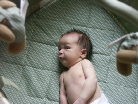 PICT0011