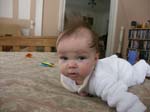 PICT0013