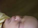PICT0009a